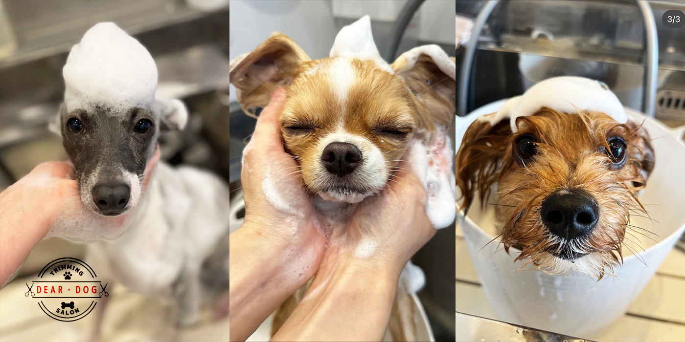 ふわふわ仕上げの秘密